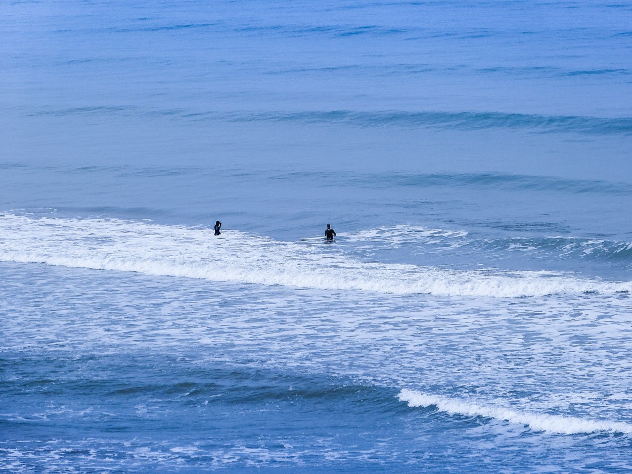 "` SURFISTAS `" de Graciela Larrama