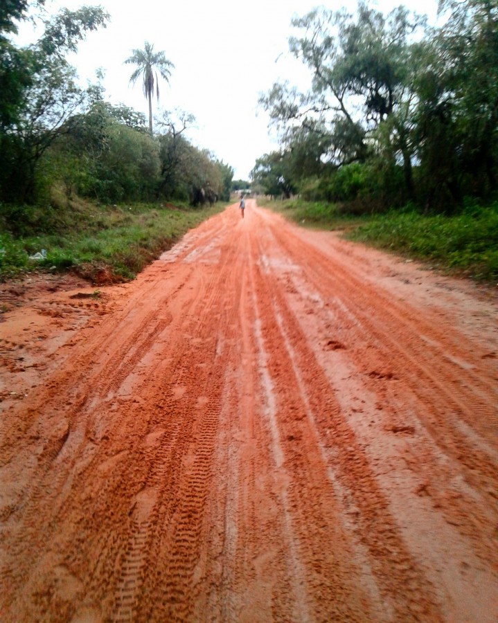 "Mburucuy" de Isabel Corbera