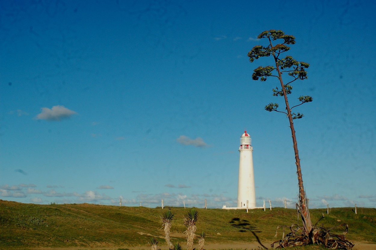 "Faros" de Javier Andrade