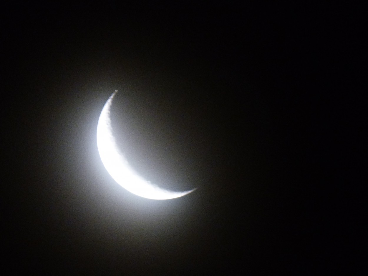 "Luna de jueves noche, noche" de Graciela Edith Flocco