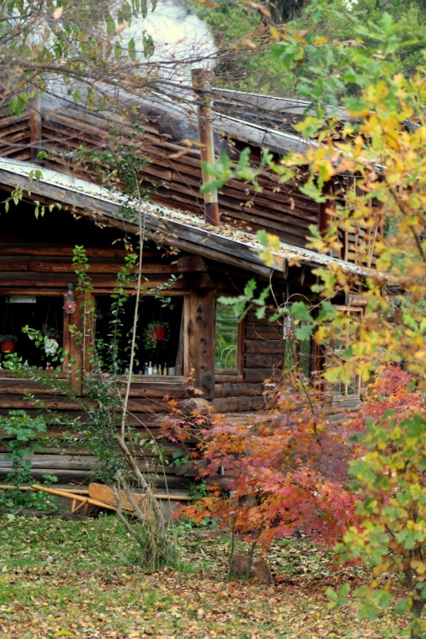 "Casa en el bosque" de Alejandra Cormick