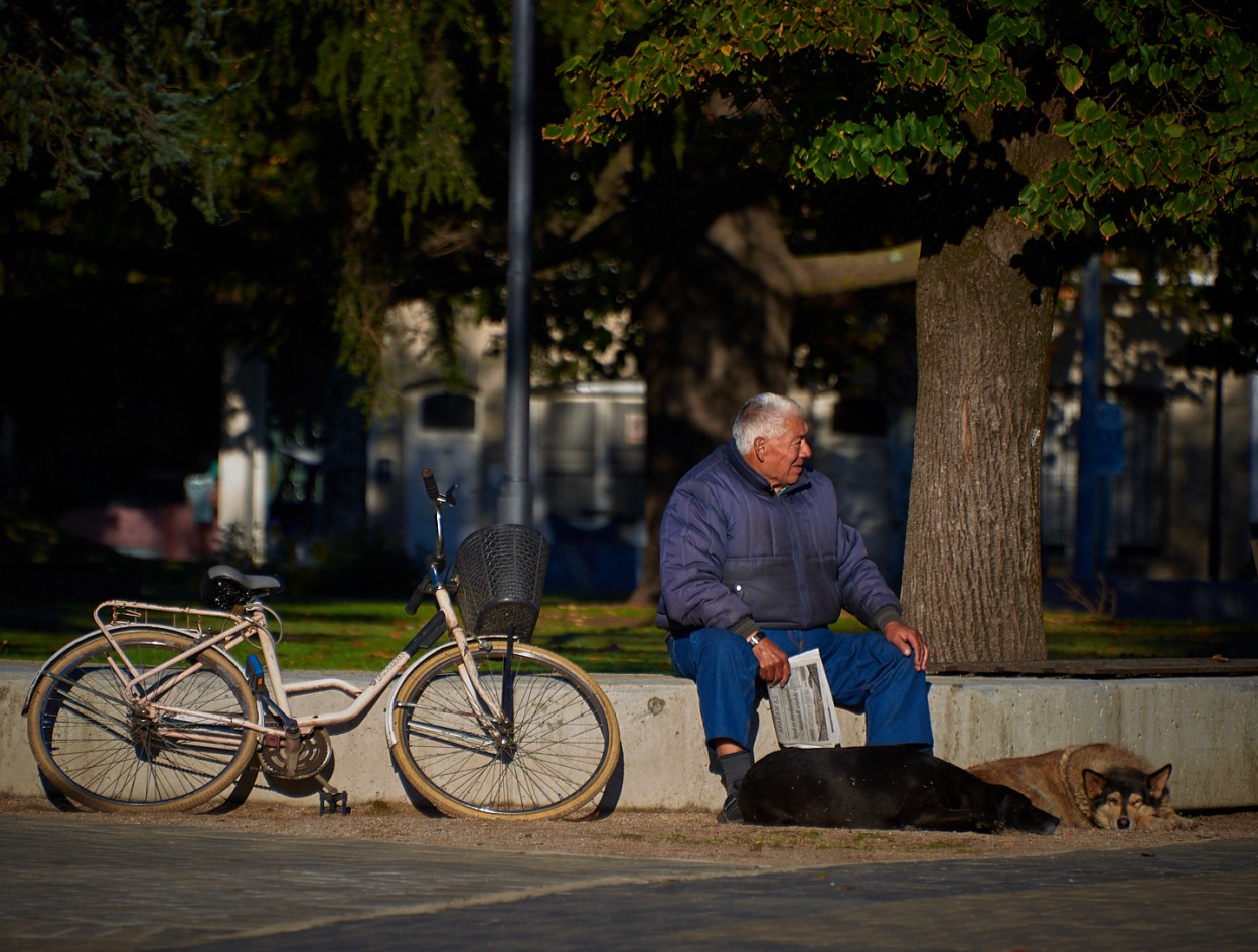 "Al sol otoal" de Fernando Valdez Vazquez