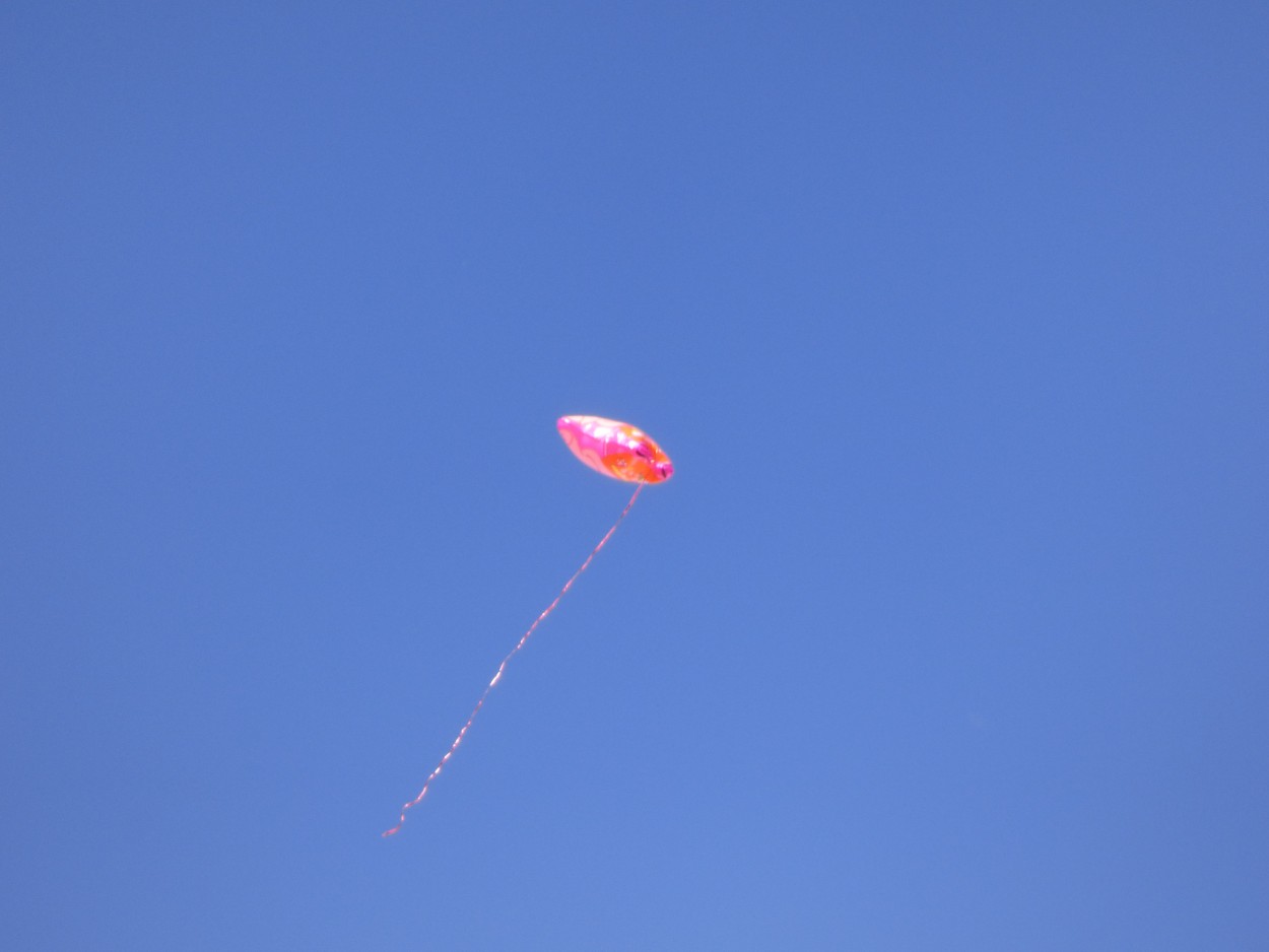 "El globo rojo" de Graciela Edith Flocco