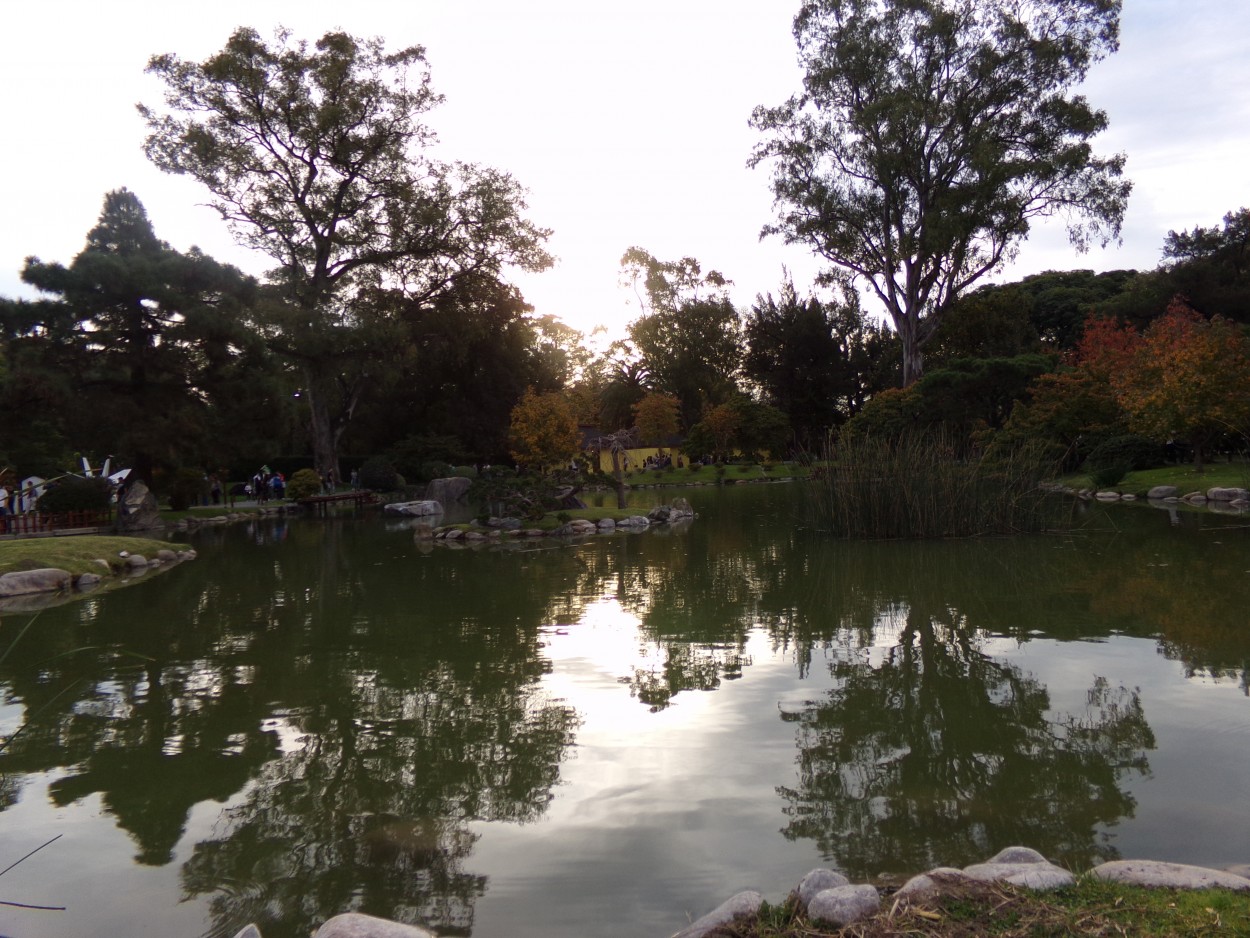 "Tarde en jardn japones" de Esteban Ramirez