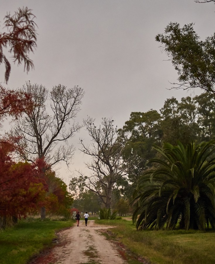 "Corriendo" de Fernando Valdez Vazquez