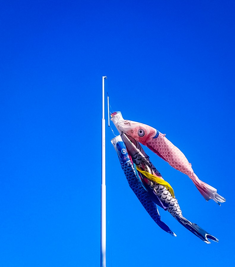 "Peces nadando en el cielo" de Roberto Guillermo Hagemann