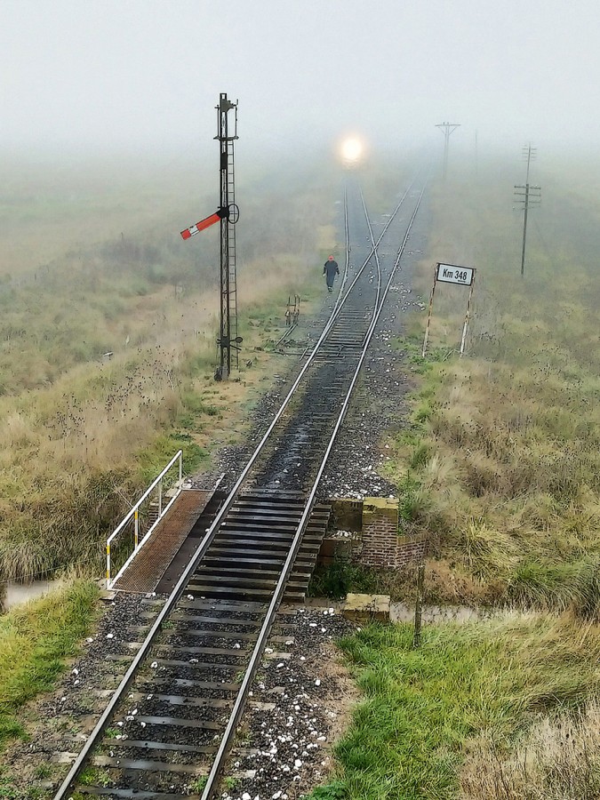 "El Cambista en la neblina" de Gerardo Saint Martn