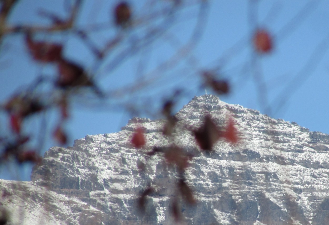 "Chapelco I" de Gustavo H. Mayares