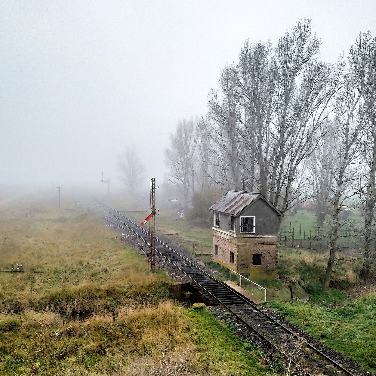 "abandonos" de Gerardo Saint Martn