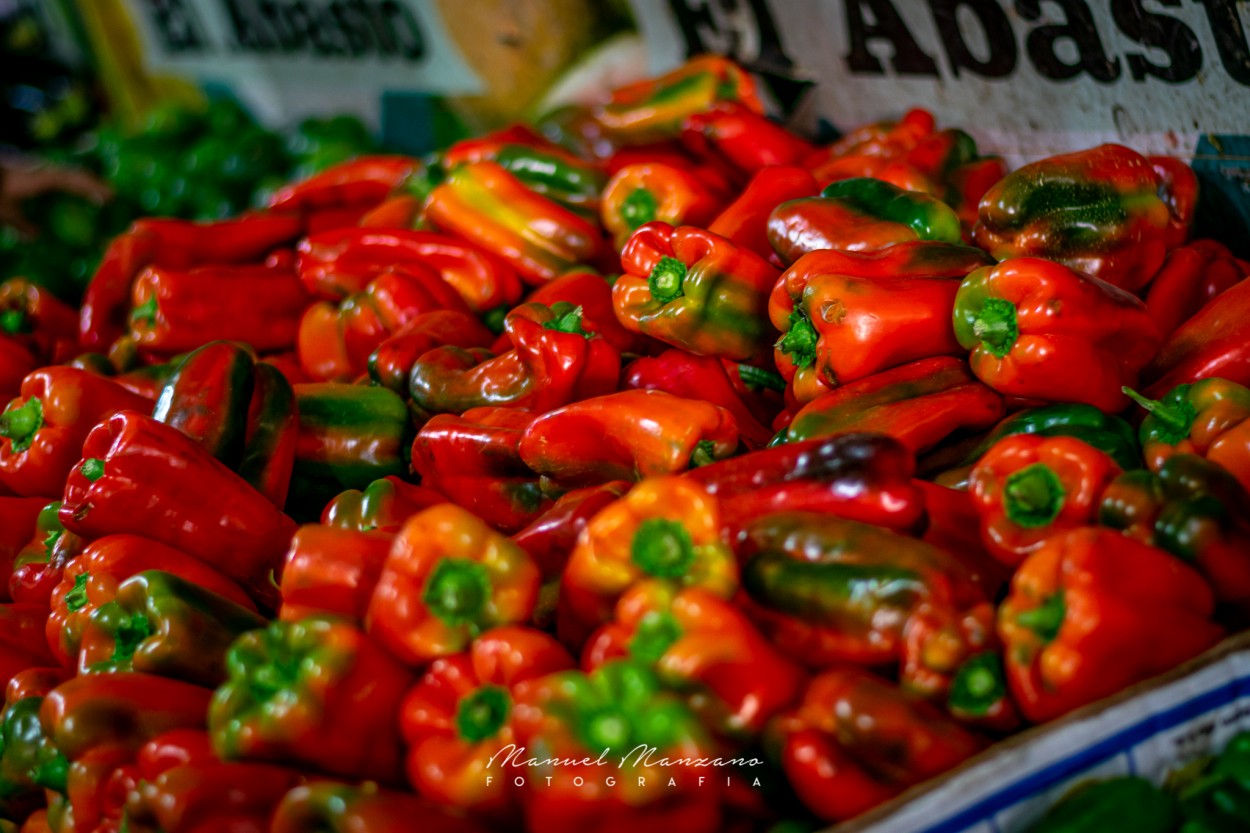 "Morrones Rojos" de Manuel Enrique Chavez Manzano