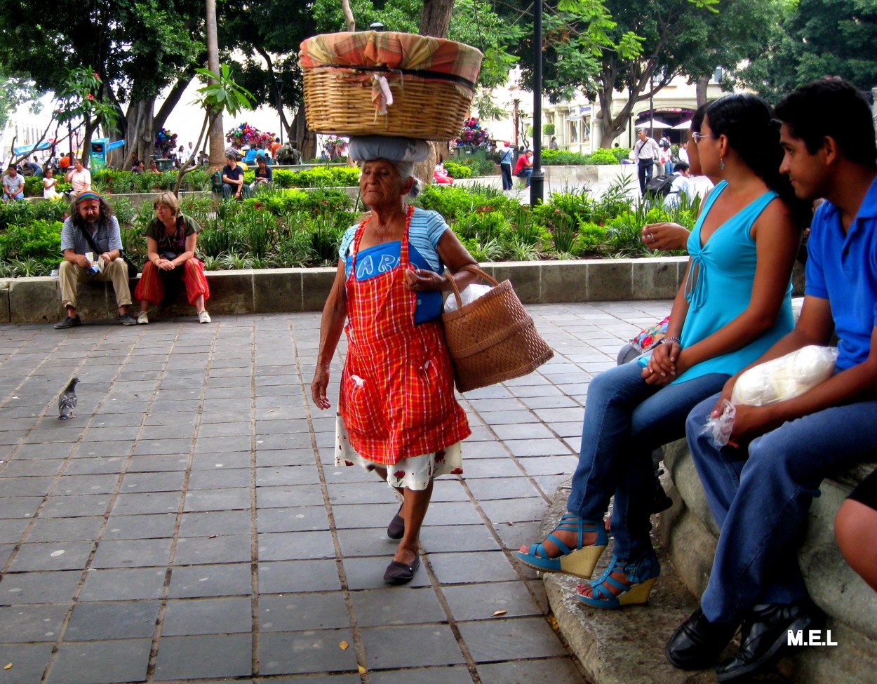 "`Oaxaca`" de Mabel Ester Lattanzi