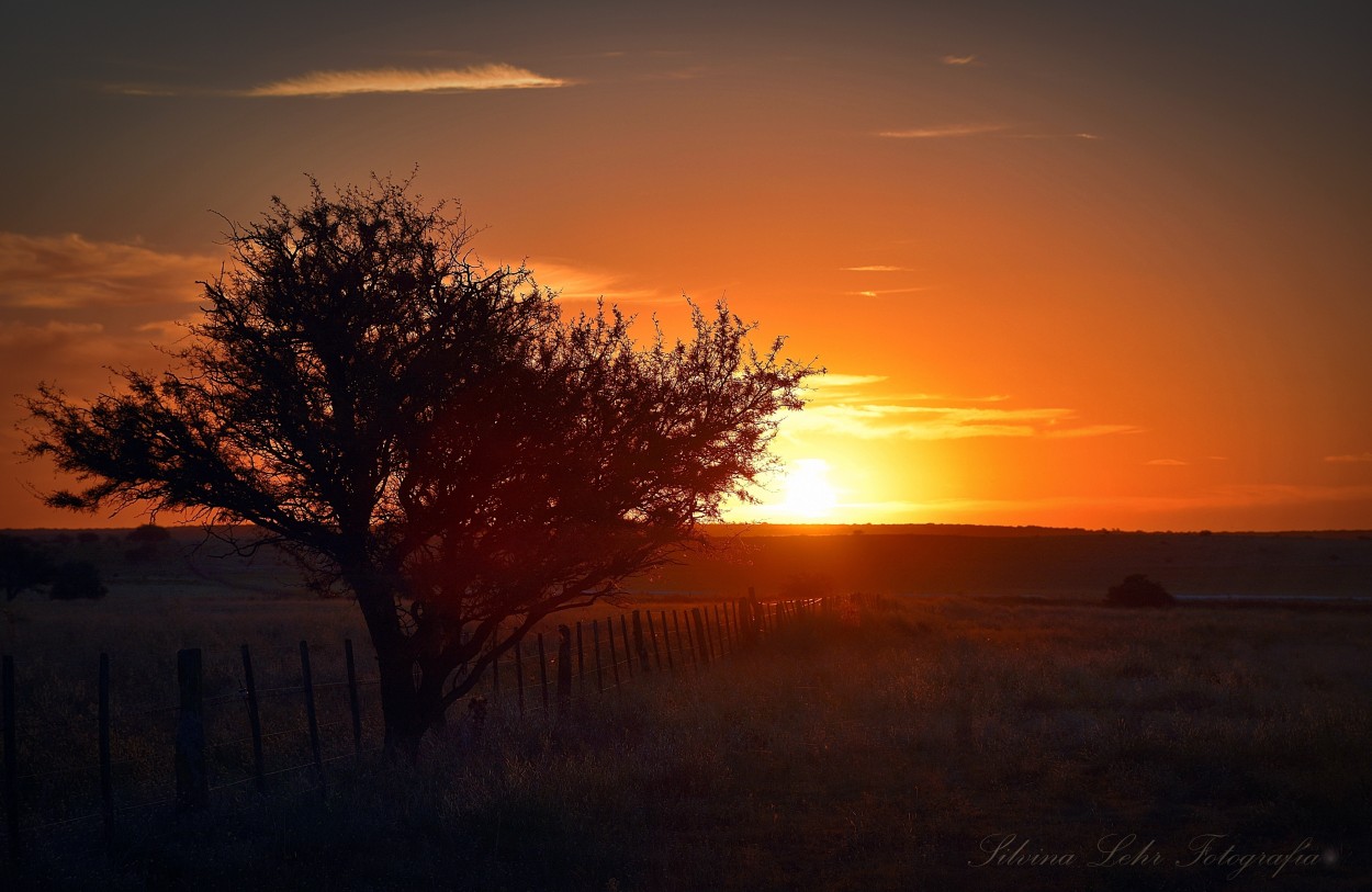 "Ocaso y pampa" de Silvina Lehr