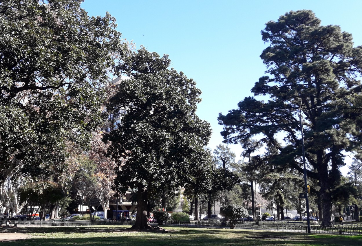 "Plaza de Devoto..." de Marcela Nadale Platero