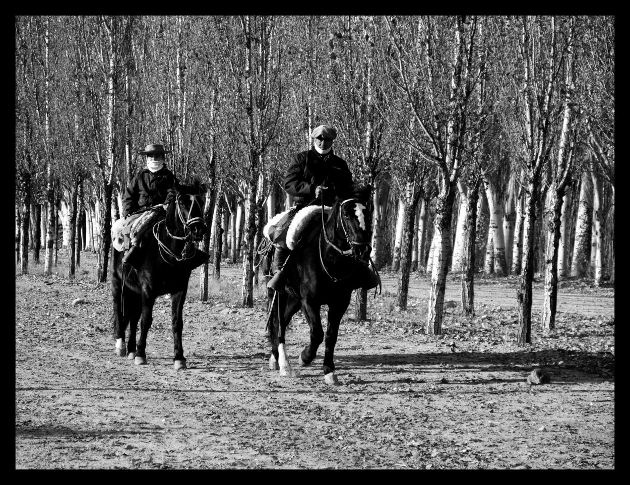 "PAISANOSSS I !!!" de Maria Eugenia Cailly (euge)