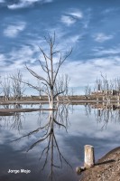 Naturaleza muerta