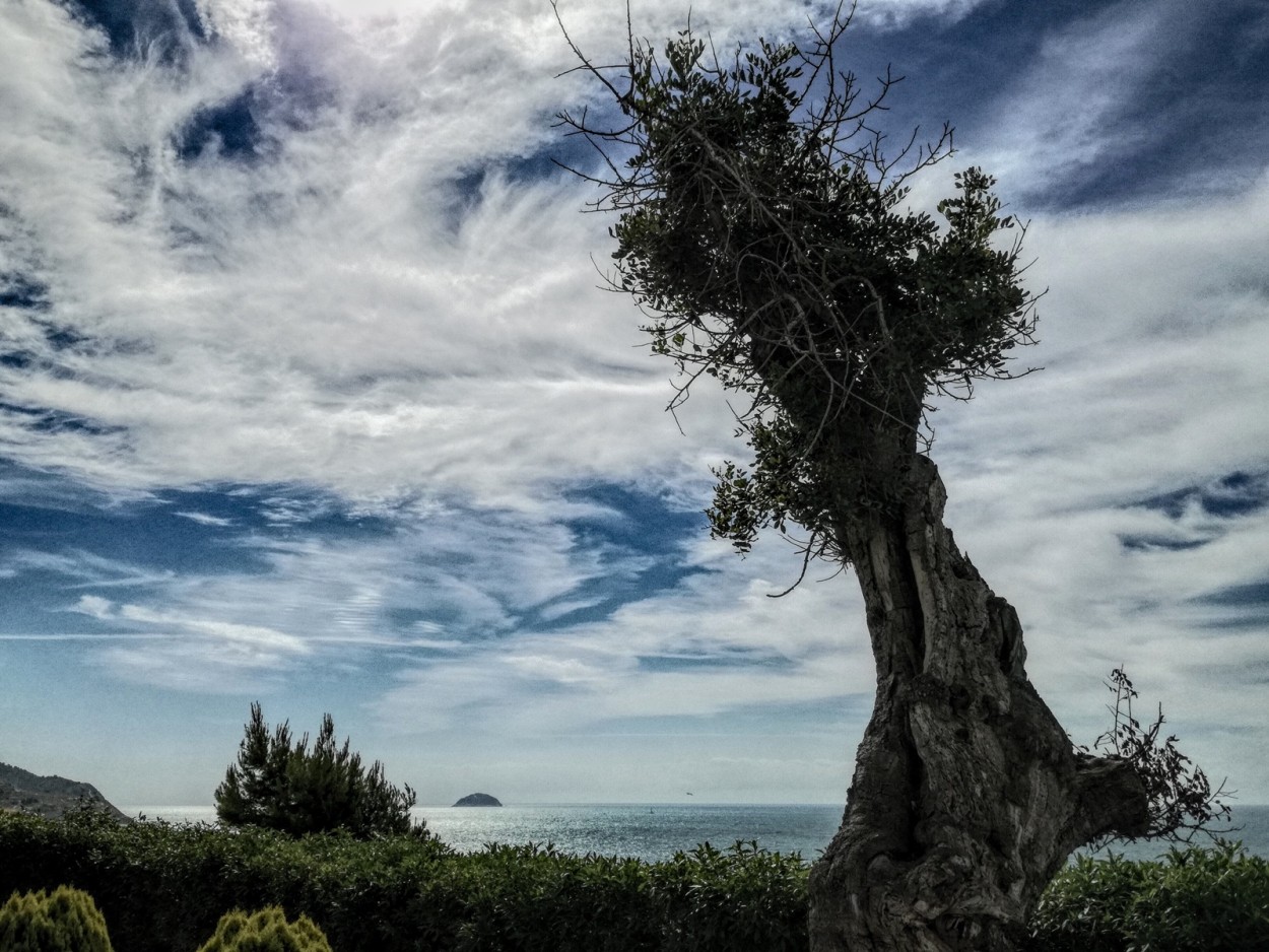 "**Entre CIELO y MAR**" de Antonio Snchez Gamas (cuky A. S. G. )