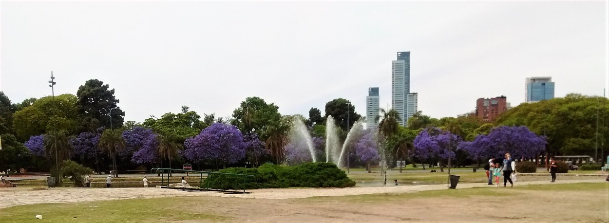 "Palermo" de Jorge Carlos Tarditi (carlos)