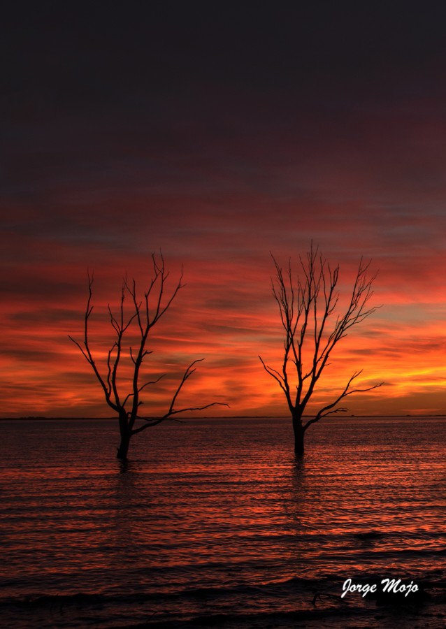 "Atardecer en soledad" de Jorge Mojo