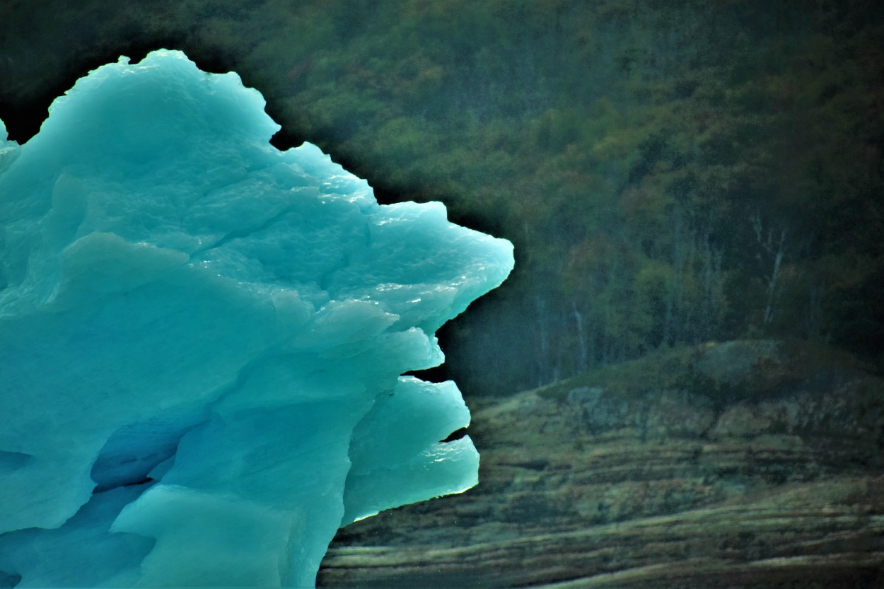 "perfil de hielo" de Daniel Alberto Correa