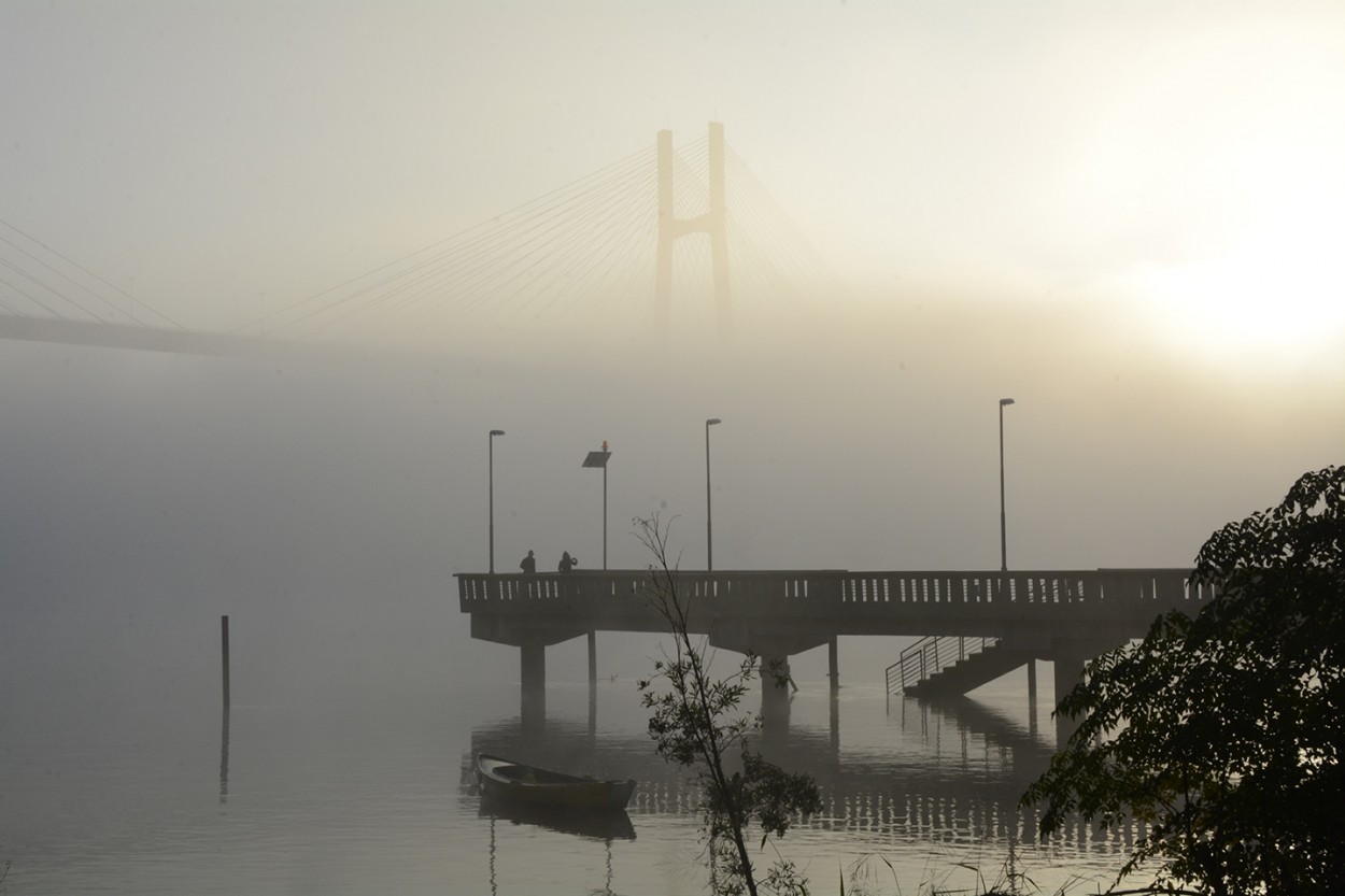 "en la niebla" de Mercedes Orden