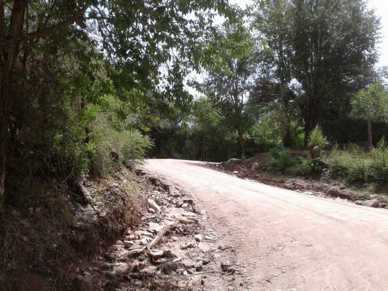 "camino maravilloso..." de Marcela Nadale Platero