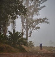 Niebla y frio