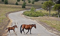 Paso sobre paso