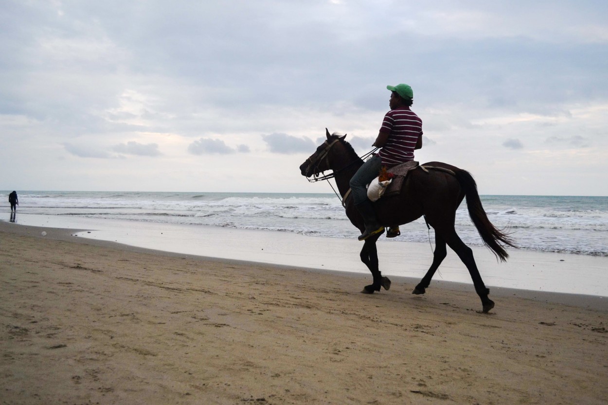 "Cabalgata" de Graciela Banegas