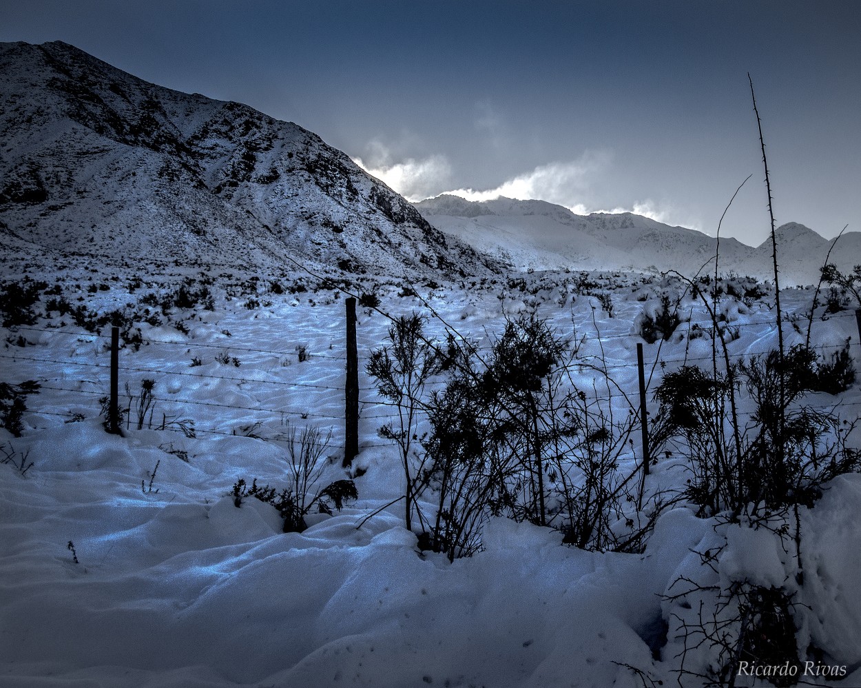 "`Potrerillos`" de Ricardo Rivas