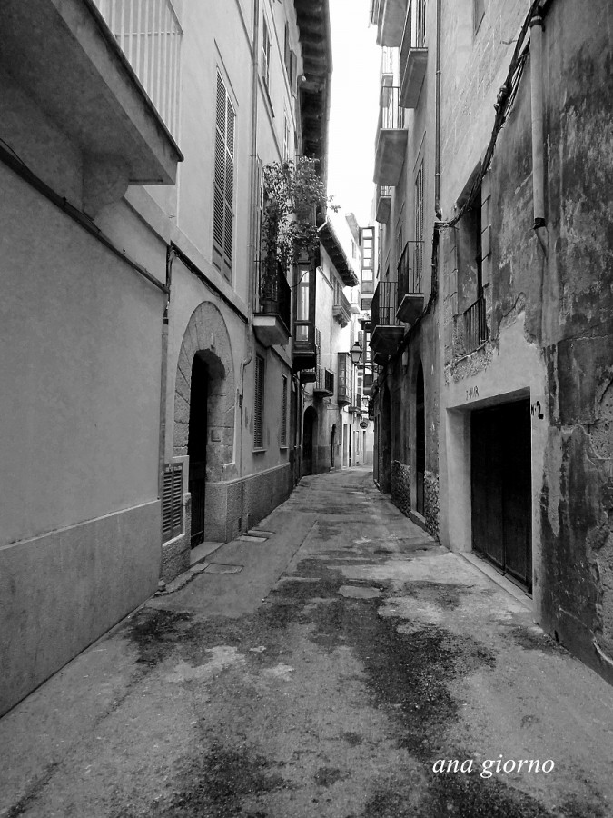 "Callejon" de Ana Giorno