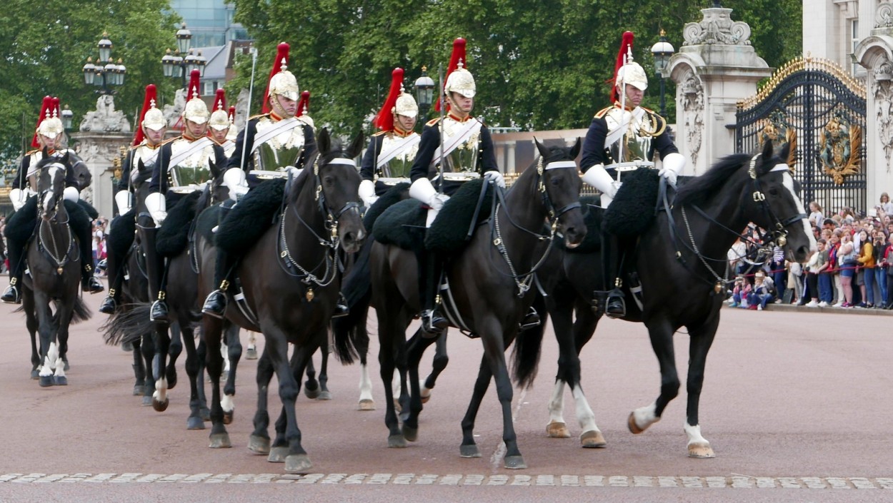 "Cambio de guardia real." de Carlos E. Wydler