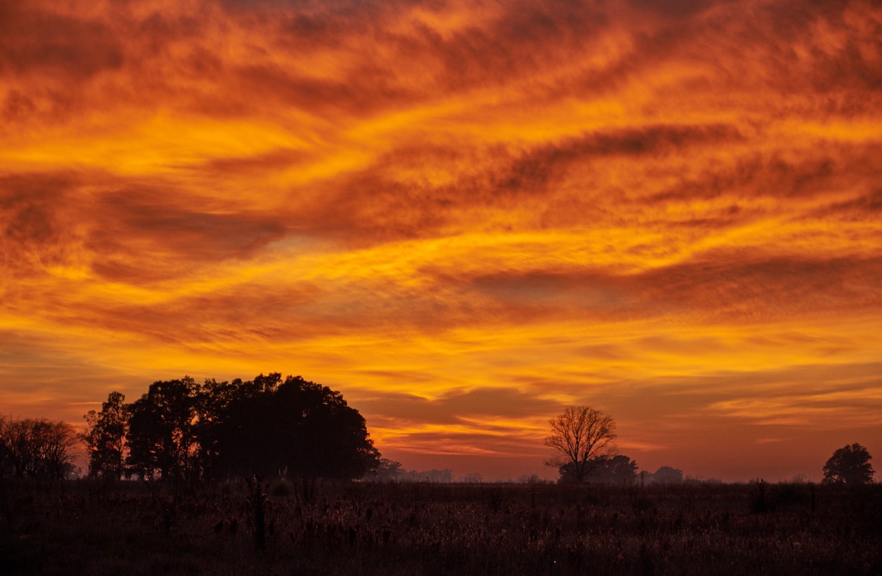 "Un amanecer encendido" de Fernando Valdez Vazquez