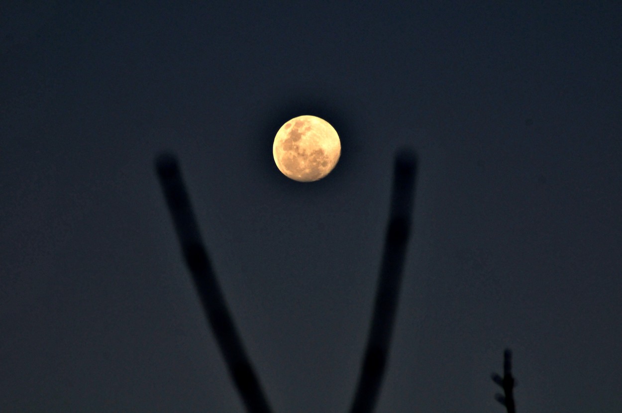 "Rabdomante de la luna" de Javier Andrade