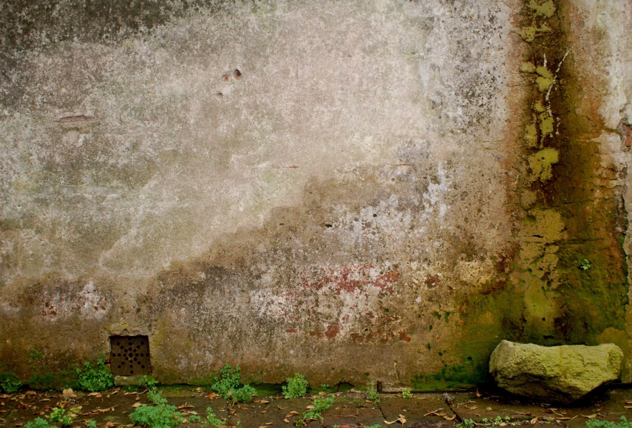 "Ciclos de la pared" de Javier Andrade