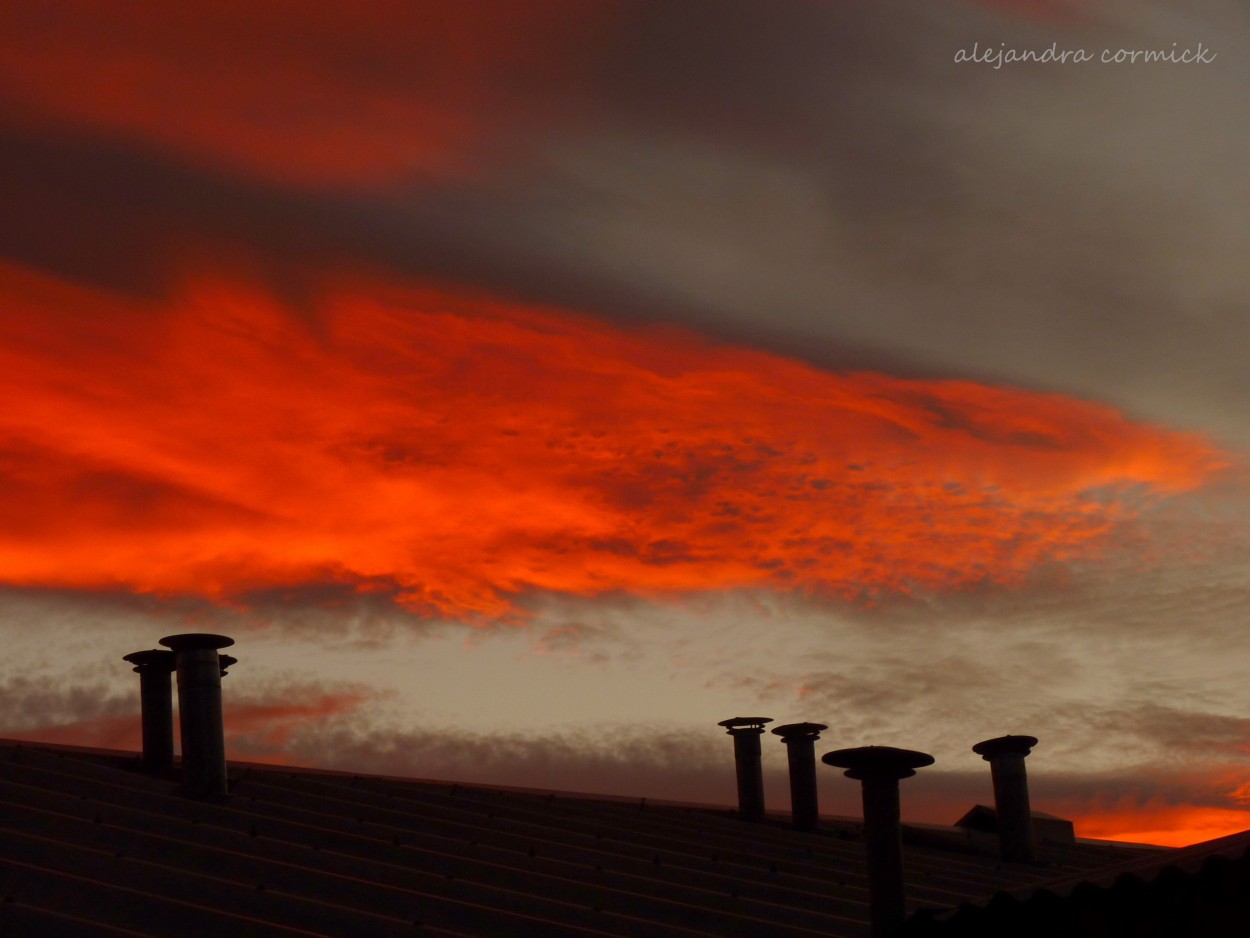 "Tarde de fuego" de Alejandra Cormick