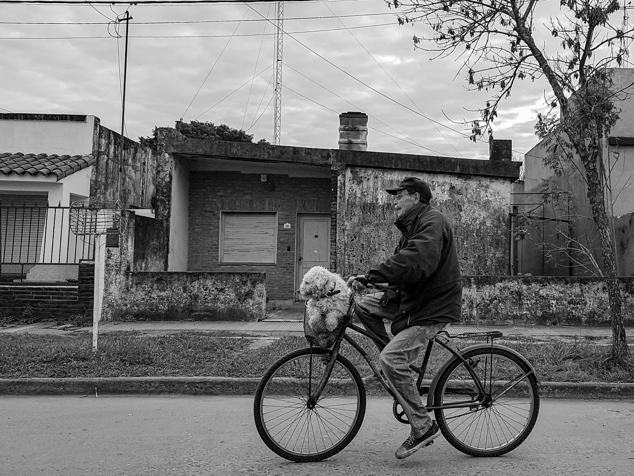 "Con mi fiel amigo" de Marzioni Martn Luis