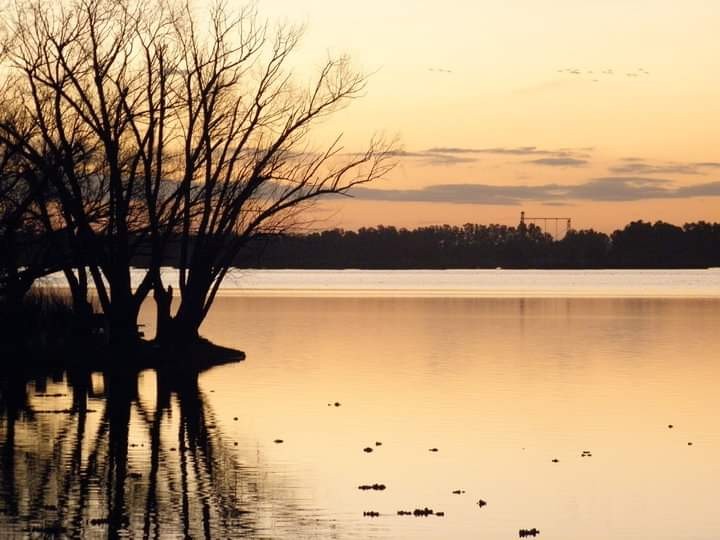 "Serenidad" de Santiago Mena