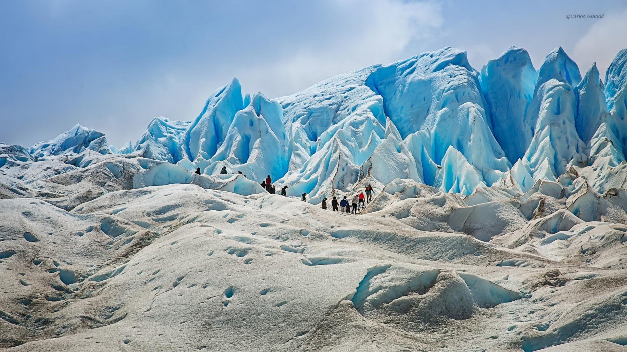 "Trekking" de Carlos Gianoli