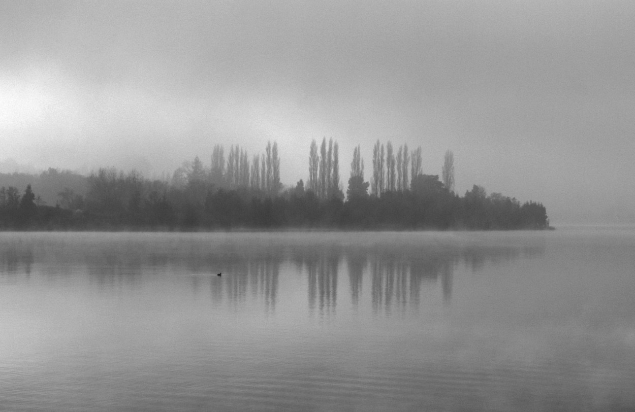 "Dia de niebla" de Jose Muoz