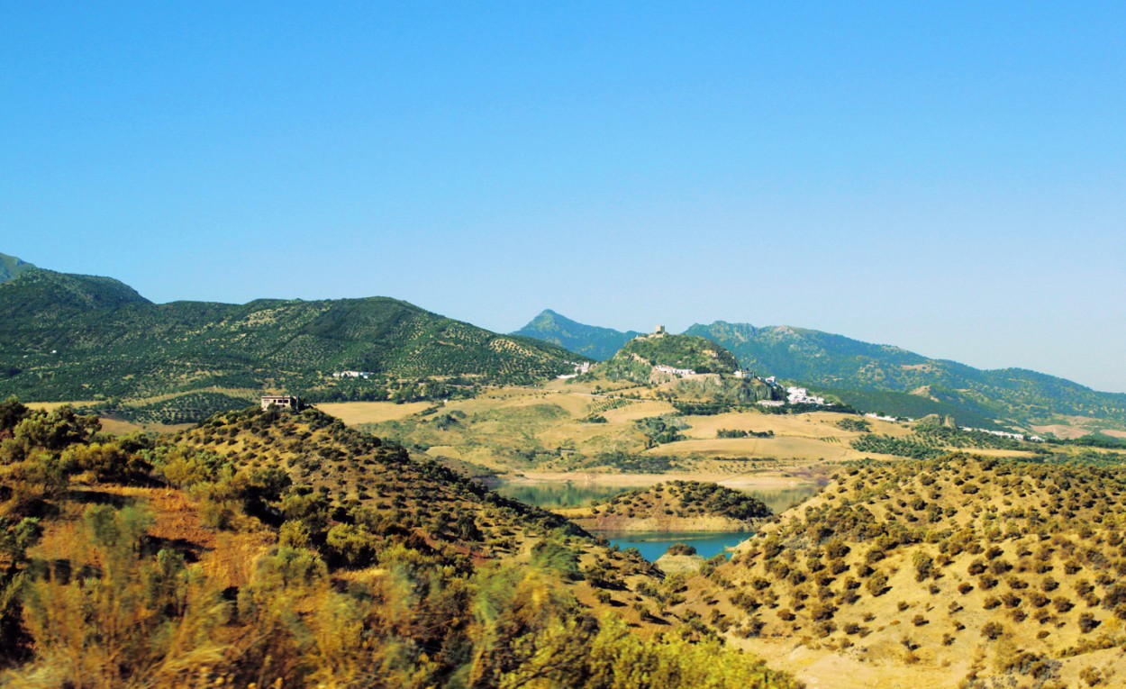 "Paisaje Andaluz" de Ricardo Marziali