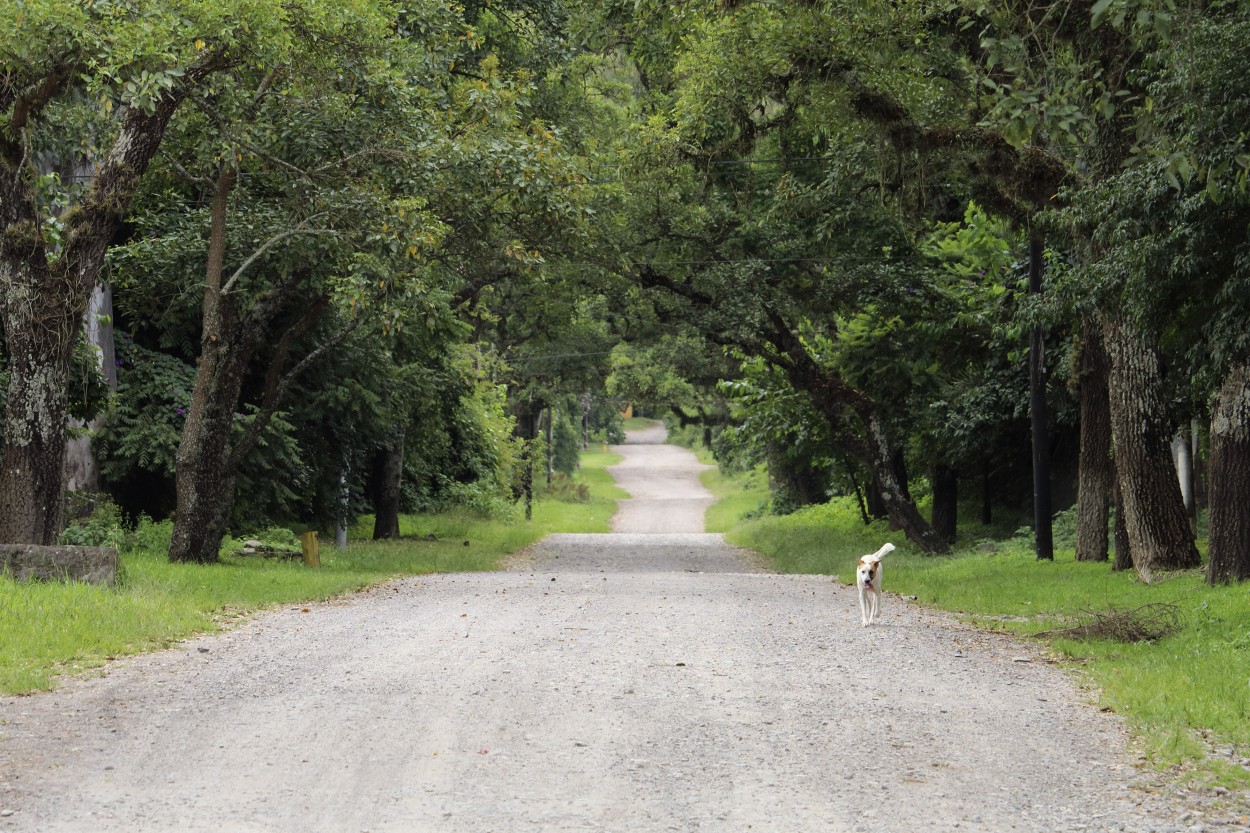 "Volviendo a casa II" de Natalia Harosteguy