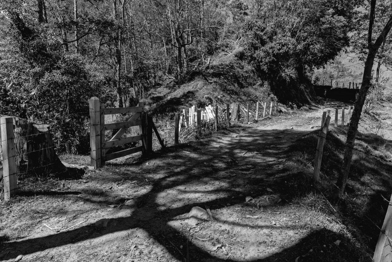 "Un largo camino..." de Ovidio Alberto Arenas