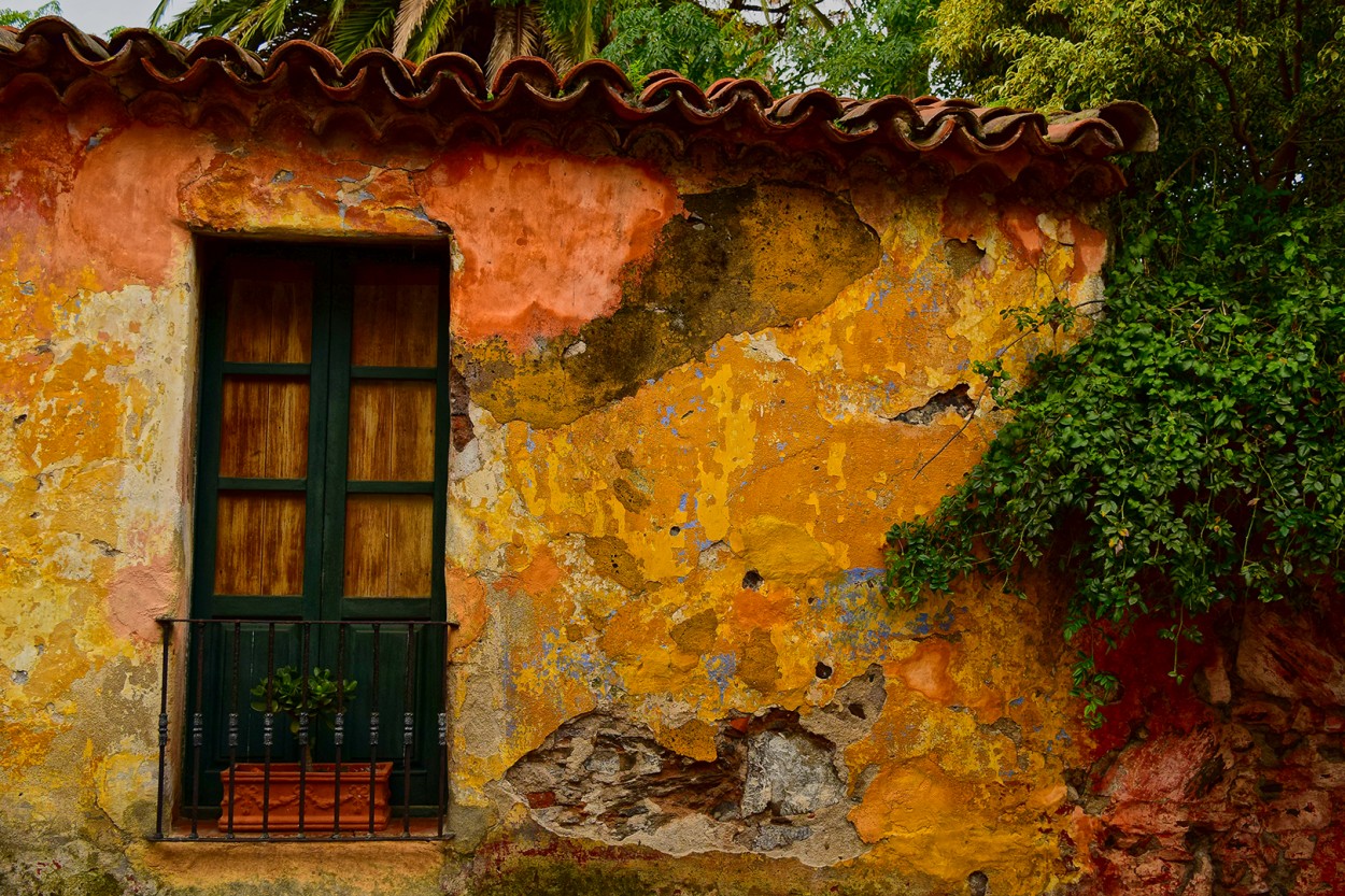 "Por las calles de Colonia" de Vanina Di Stasio