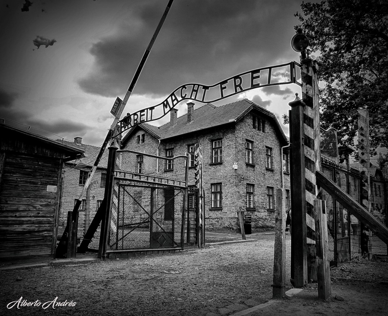 "Arbeit macht frei" de Alberto Andrs Melo