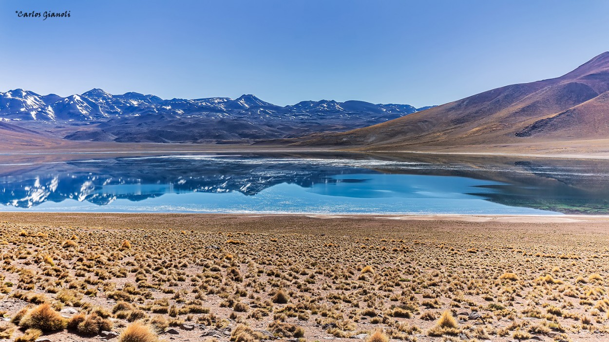 "Laguna Miscanti" de Carlos Gianoli