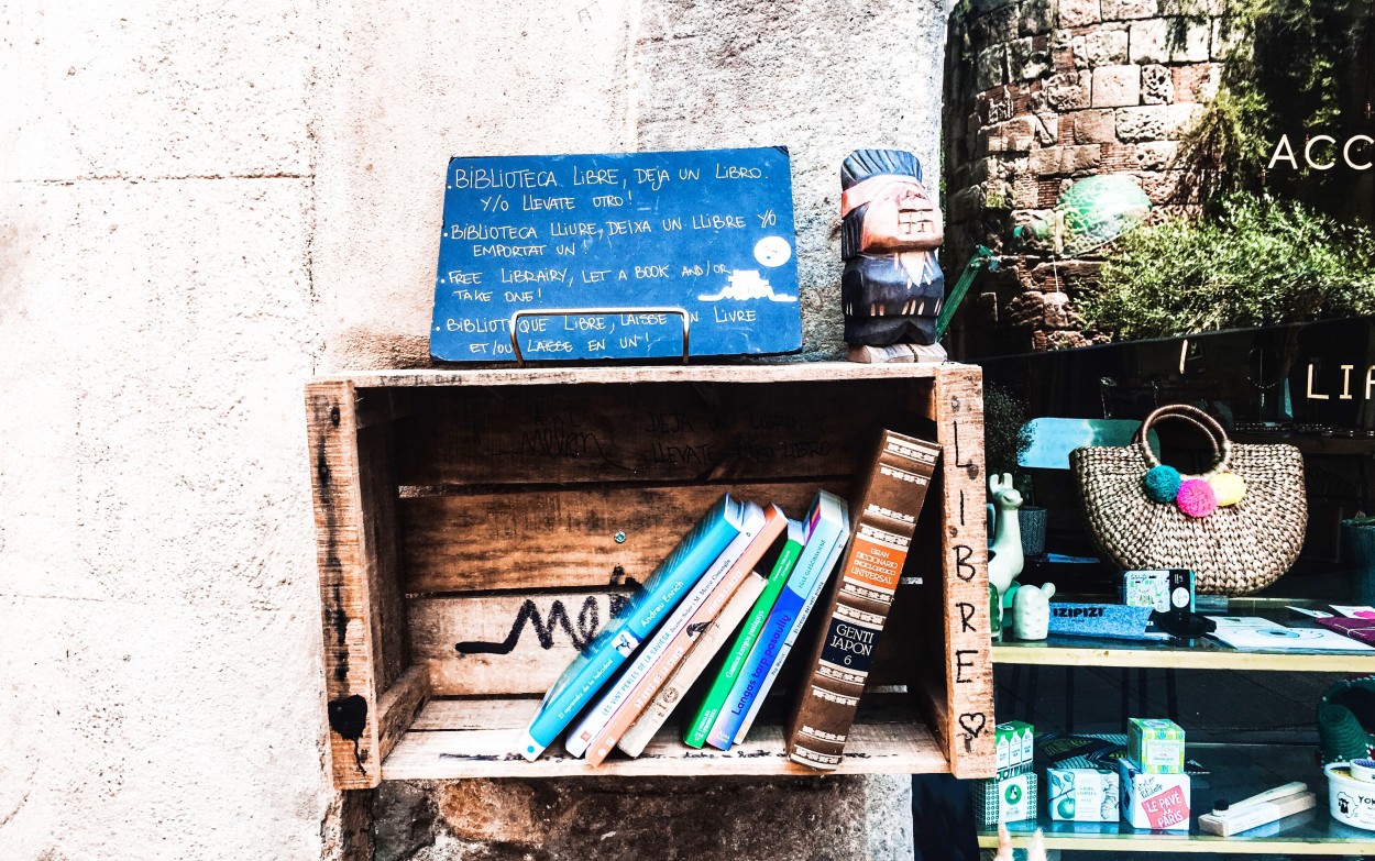 "Biblioteca Libre" de Luis Alberto Bellini