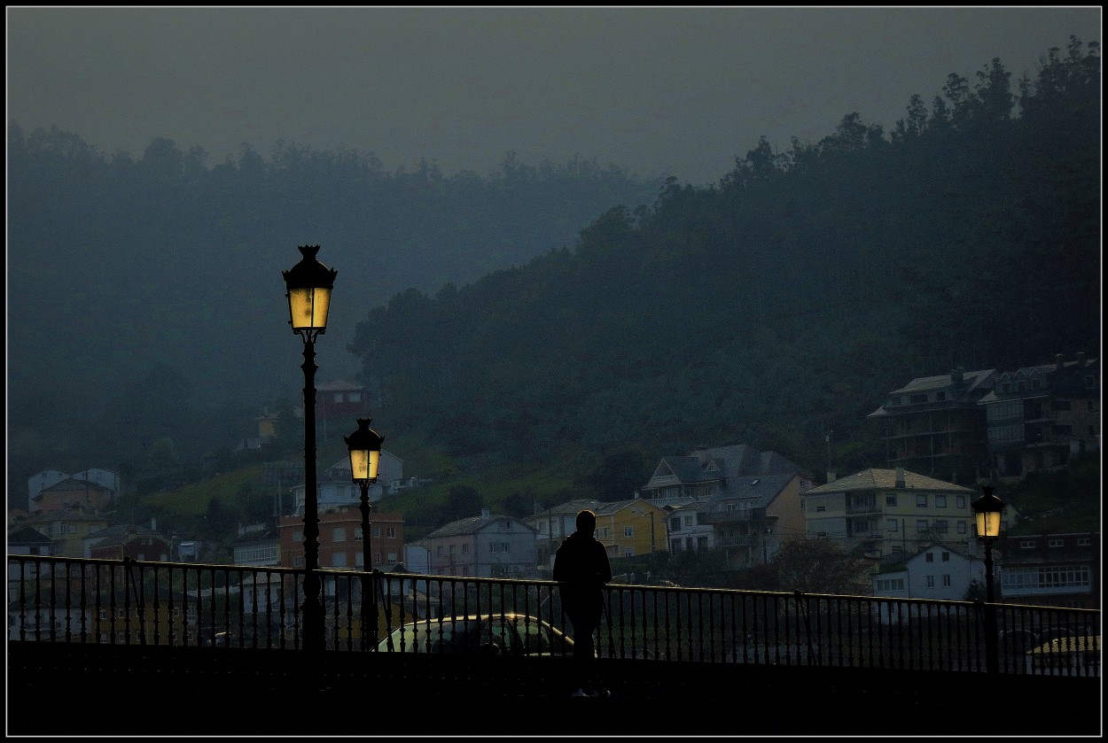 "Viveiro" de Carlos Alberto Tomala