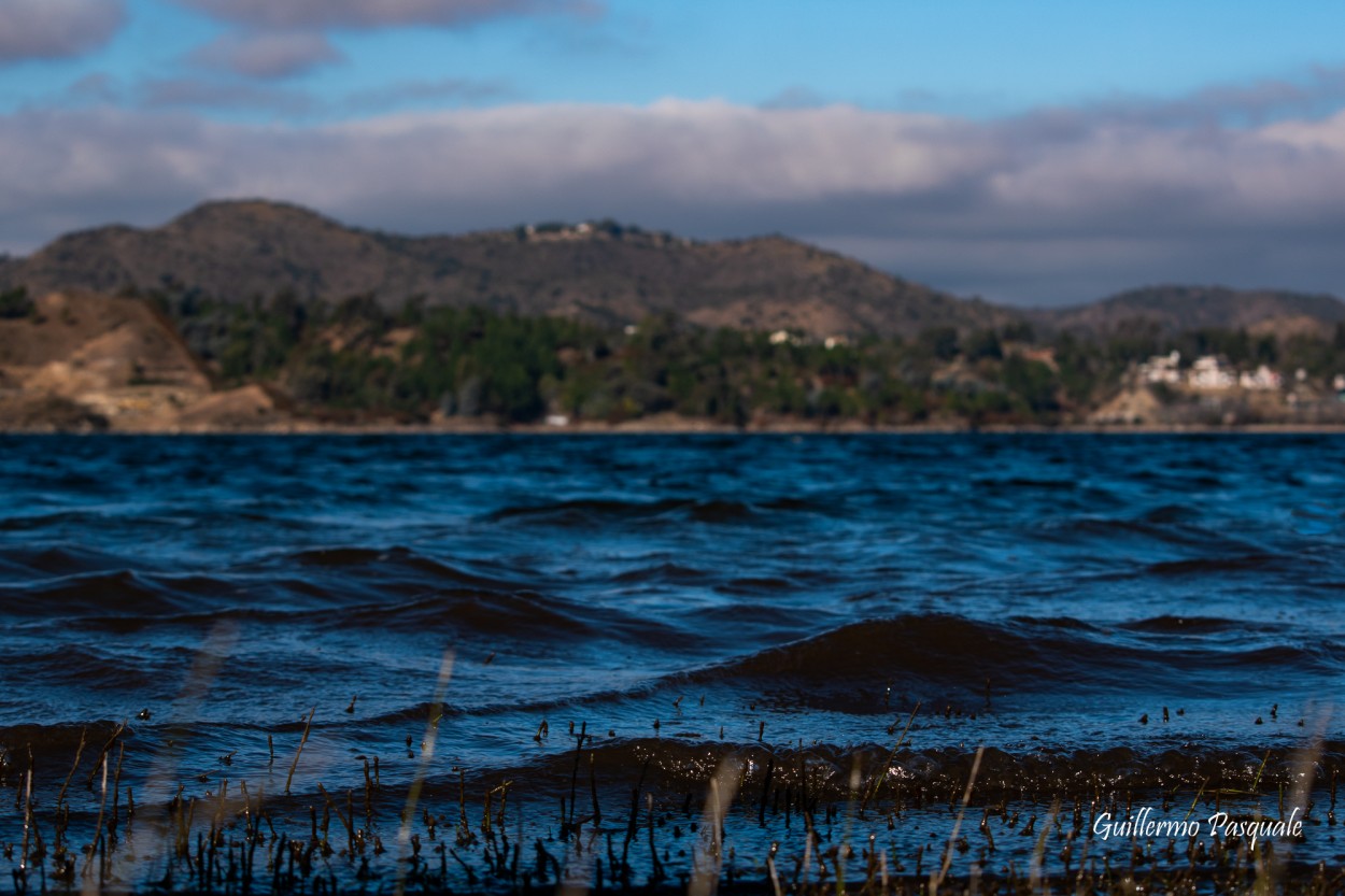 "Olas" de Guillermo Daniel Pasquale