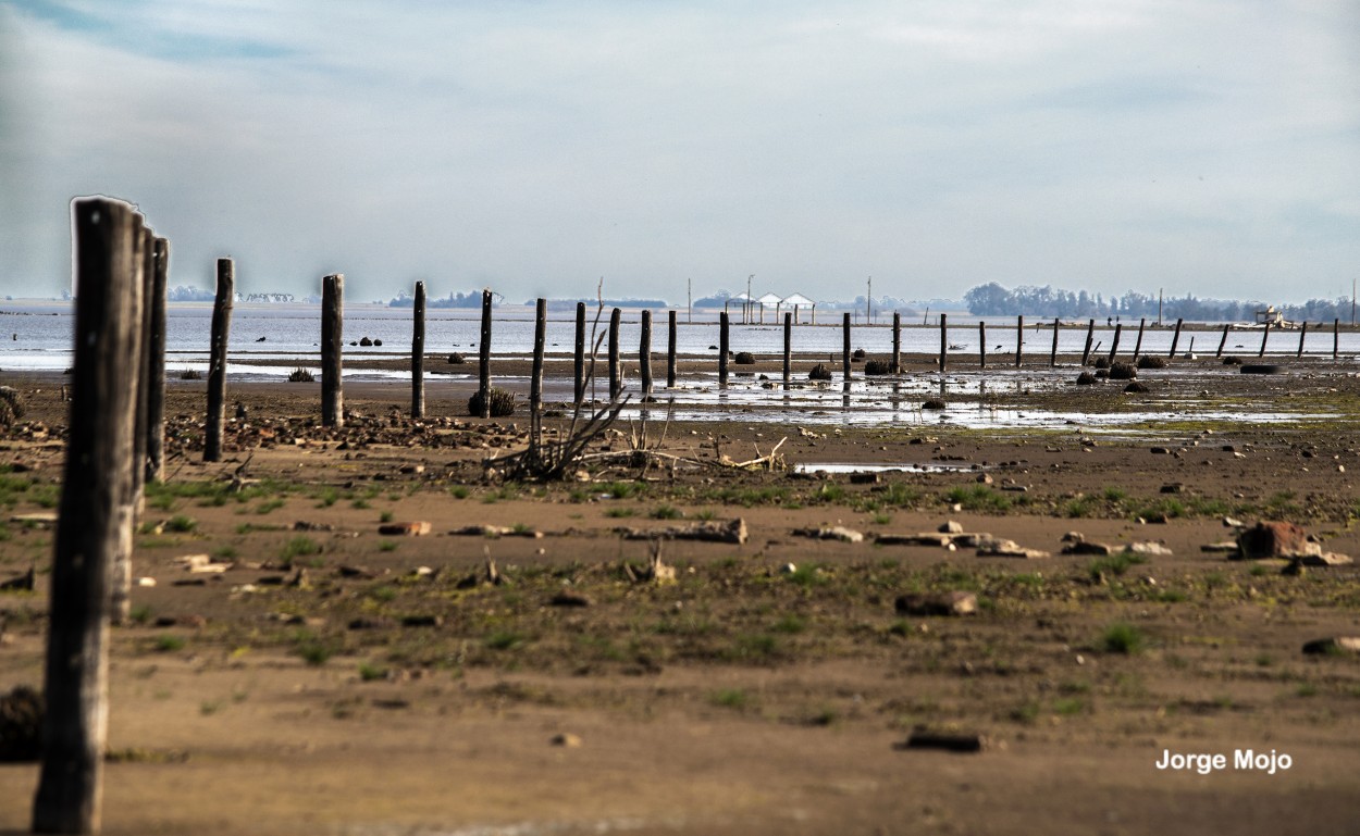 "Despus de la inundacin" de Jorge Mojo