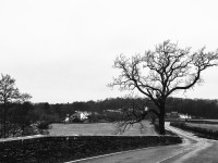 caminos de campia